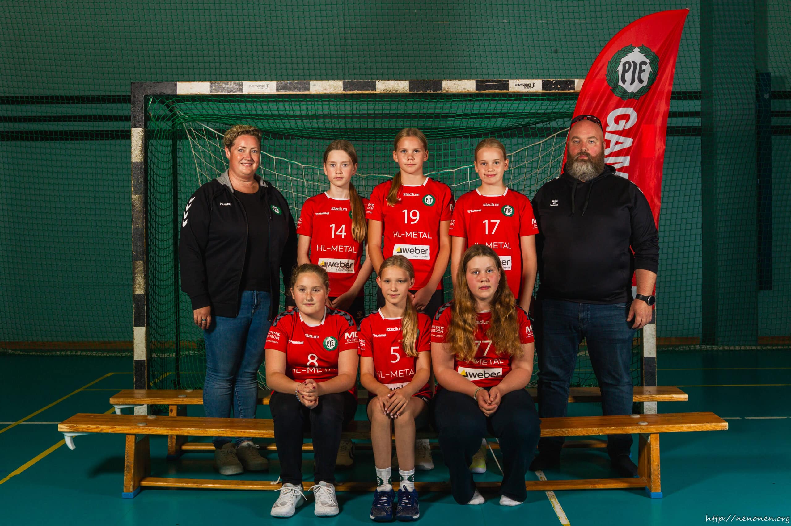 PIF-Handboll-DF-2013-a